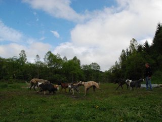 2010-05-30_ntb_0177