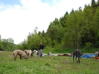 2010-05-30_ntb_0178
