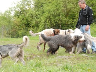 2010-05-30_ntb_0179