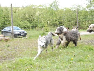 2010-05-30_ntb_0182