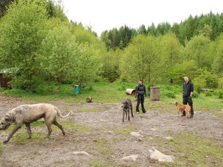 2010-05-30_ntb_0184