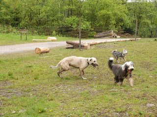 2010-05-30_ntb_0186