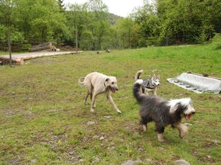 2010-05-30_ntb_0187