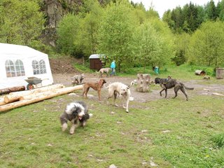 2010-05-30_ntb_0189