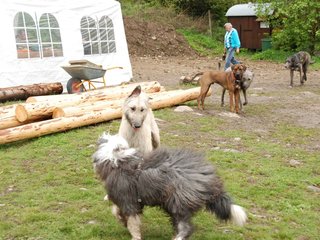 2010-05-30_ntb_0190