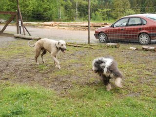 2010-05-30_ntb_0191