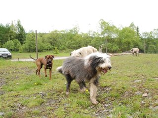 2010-05-30_ntb_0194
