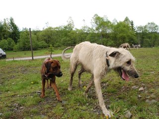 2010-05-30_ntb_0195