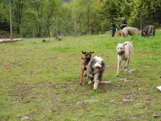 2010-05-30_ntb_0196