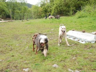 2010-05-30_ntb_0198