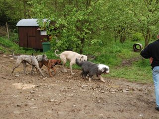 2010-05-30_ntb_0200