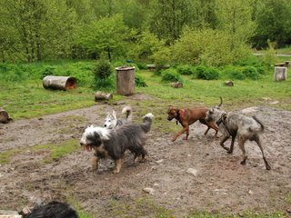 2010-05-30_ntb_0222