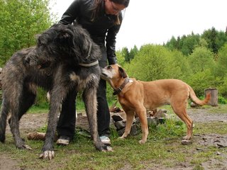 2010-05-30_ntb_0224