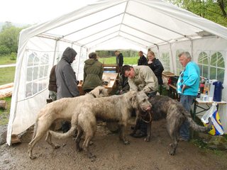 2010-05-30_ntb_0226