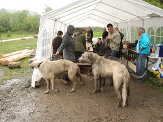 2010-05-30_ntb_0227