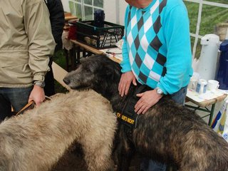 2010-05-30_ntb_0228