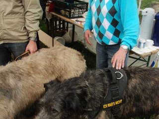 2010-05-30_ntb_0229