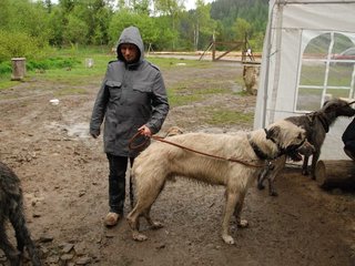 2010-05-30_ntb_0230