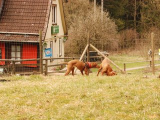 DSC_6719