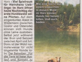 Bildzeitung