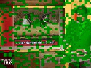 NDR-Bericht zur Eröffnung