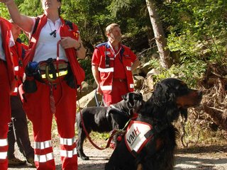 2009-08-22_ntb_6018