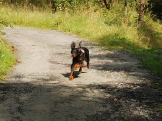 2009-08-22_ntb_6033