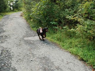 2009-08-22_ntb_6035