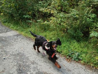 2009-08-22_ntb_6036