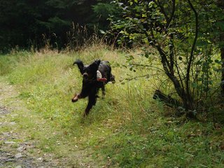 2009-08-22_ntb_6037