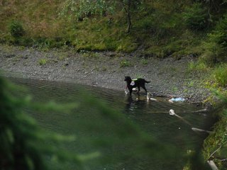 2009-08-22_ntb_6045