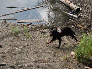 2009-08-22_ntb_6046