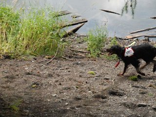 2009-08-22_ntb_6047