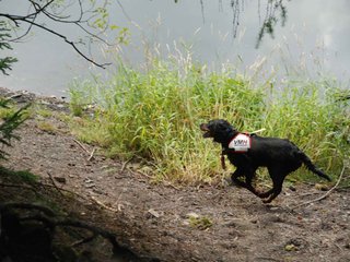 2009-08-22_ntb_6048