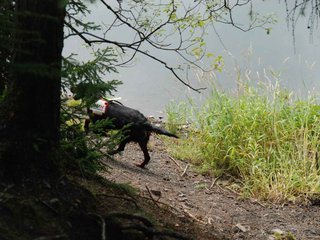 2009-08-22_ntb_6049
