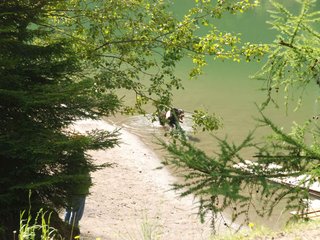 2009-08-22_ntb_6051