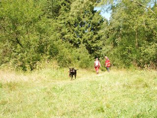 2009-08-22_ntb_6057