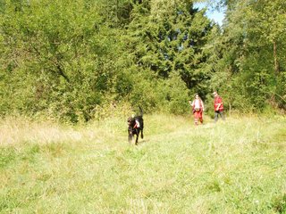 2009-08-22_ntb_6058