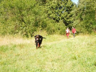 2009-08-22_ntb_6059