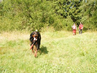 2009-08-22_ntb_6060