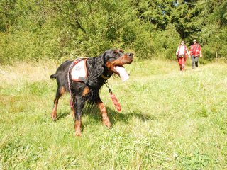 2009-08-22_ntb_6061