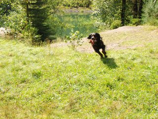 2009-08-22_ntb_6062