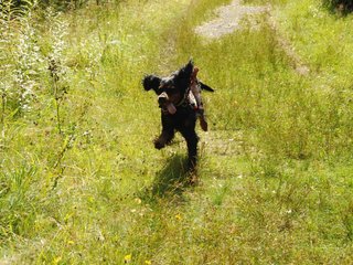 2009-08-22_ntb_6063