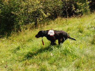 2009-08-22_ntb_6065