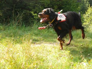 2009-08-22_ntb_6066