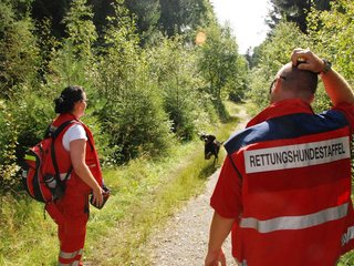 2009-08-22_ntb_6069