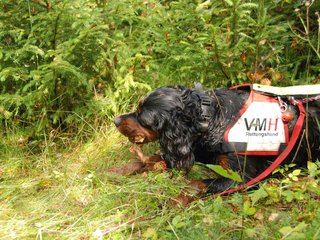 2009-08-22_ntb_6088
