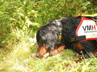 2009-08-22_ntb_6092