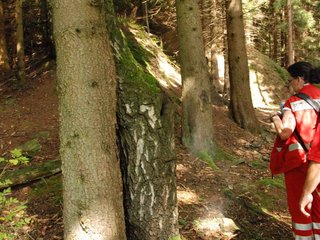 2009-08-22_ntb_6112