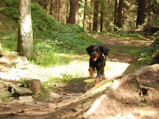 2009-08-22_ntb_6113
